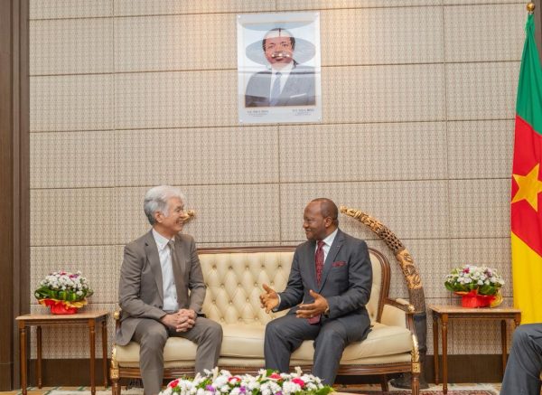 Diplomacy : High-Level parliamentary dialogue between Cameroon and Japan