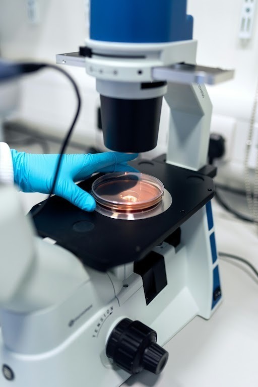 Core Peptides