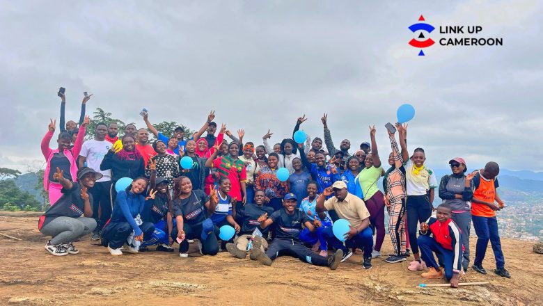 Link Up Cameroon