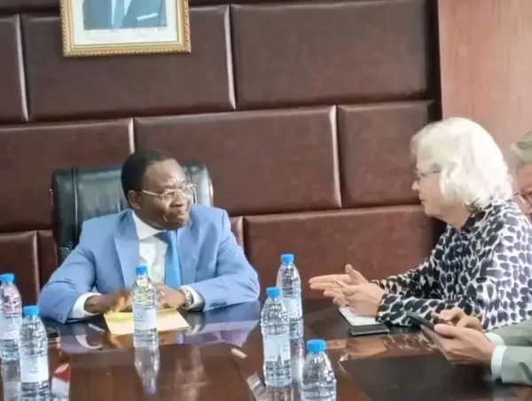Cameroon and IMF convene over strategic investments to bolster the electricity sector